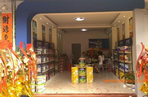 探索中國油漆市場 十大品牌盤點、代理機遇分析與寶瑩漆深度解析